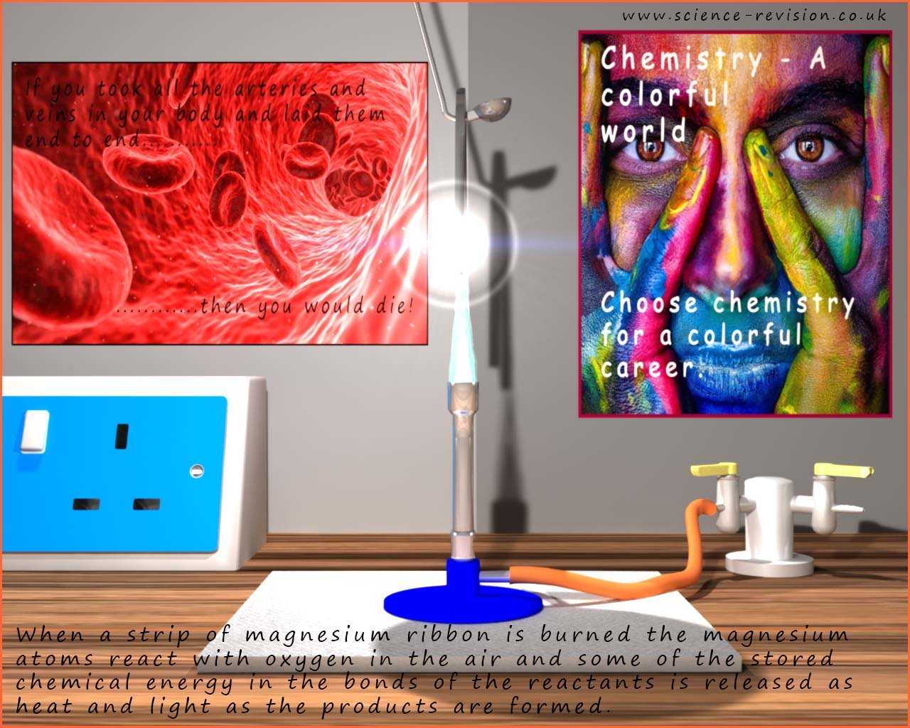 Magnesium burning in air is an example of an exothermic reaction.